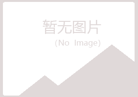 偃师绿真材料有限公司